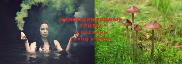 Альфа ПВП Дмитриев