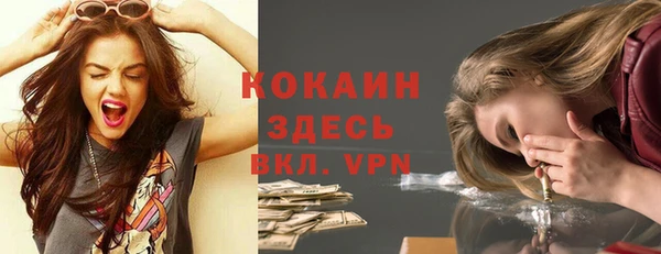 Альфа ПВП Дмитриев