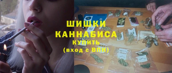 мдпв Дмитров