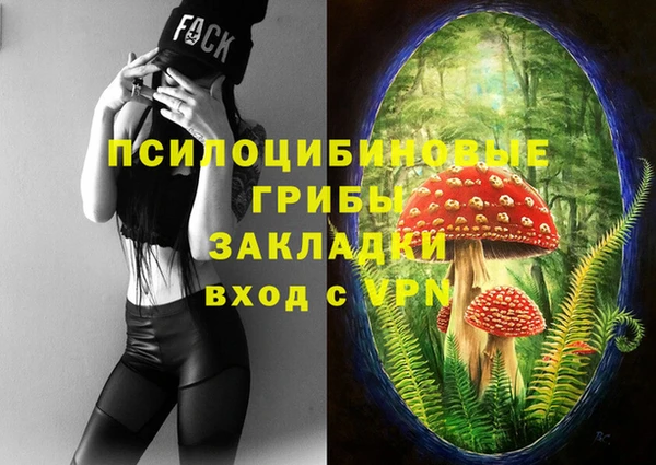 Альфа ПВП Дмитриев