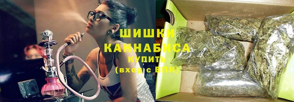 spice Гусиноозёрск