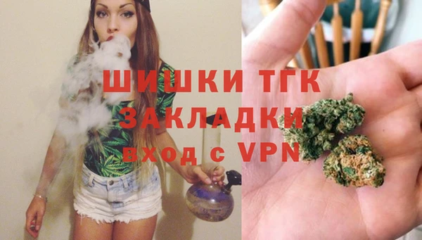 мдпв Дмитров