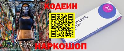 мдпв Кингисепп