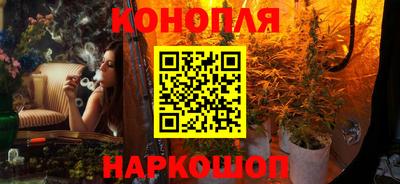 мдпв Кингисепп